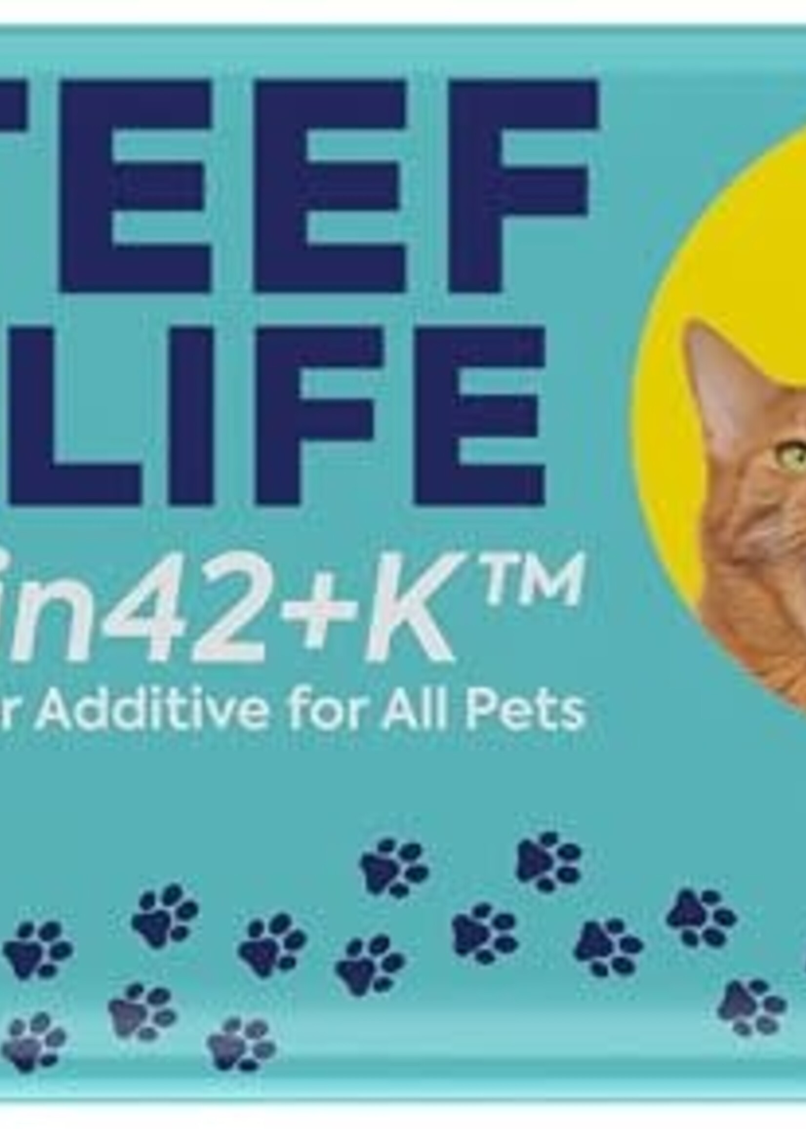 Teef for Life TEEF Refill Pwd All 30svg 30g