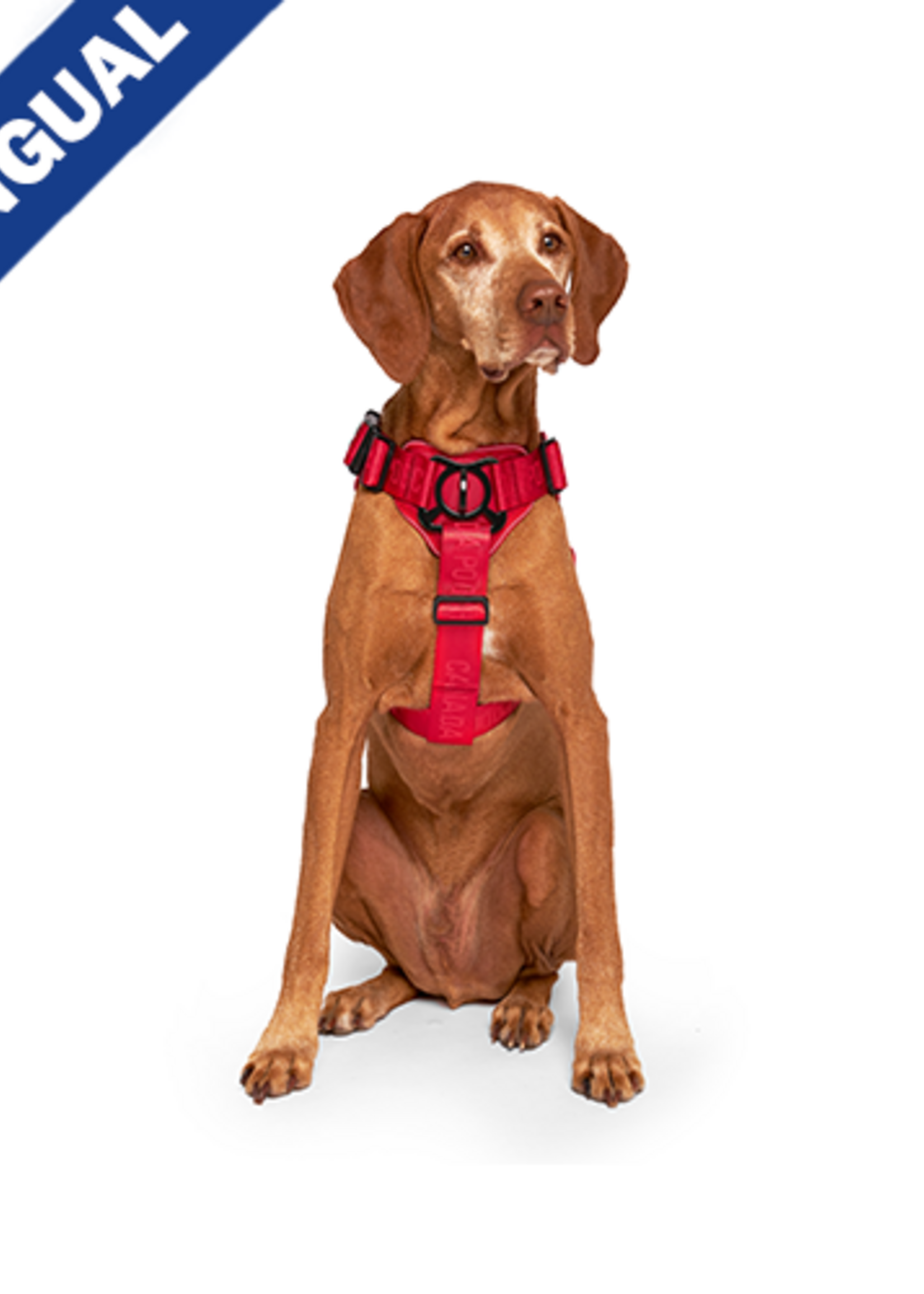 Canada Pooch - Complete Control Harness Red X-Large