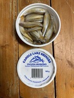 Silversides Minnow/Large Minnow