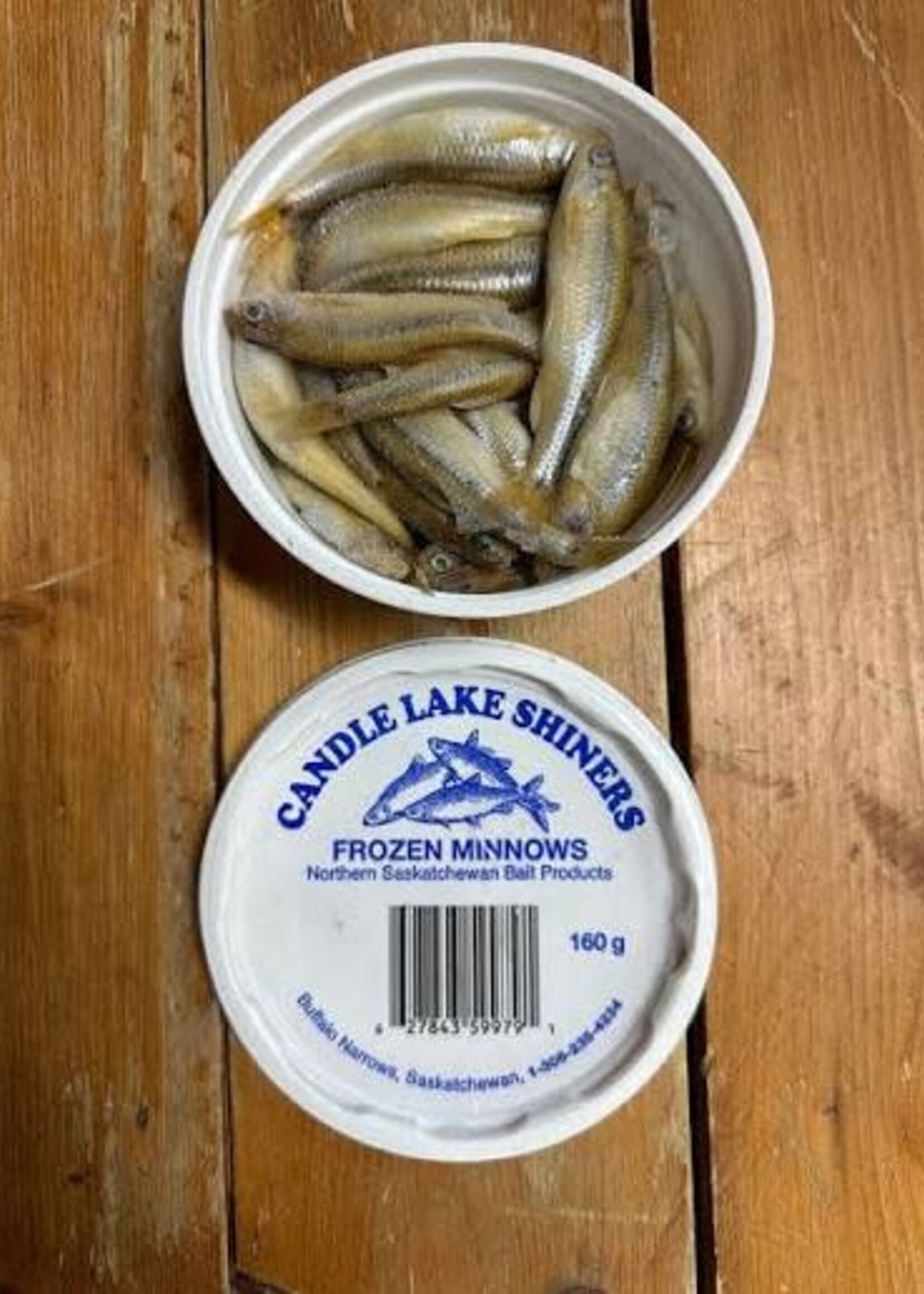 Silversides Minnow/Large Minnow