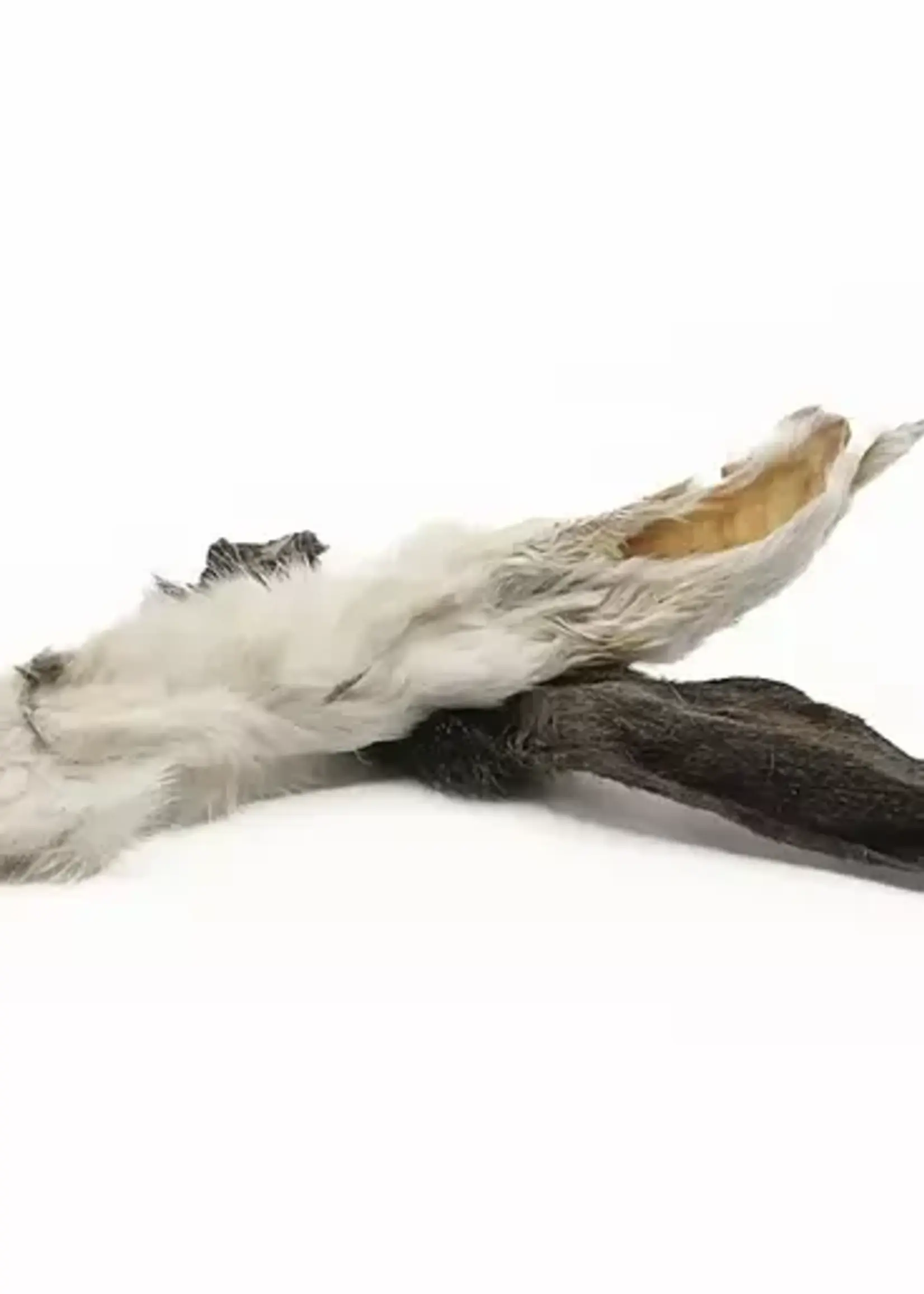 Sōl Rabbit Ears