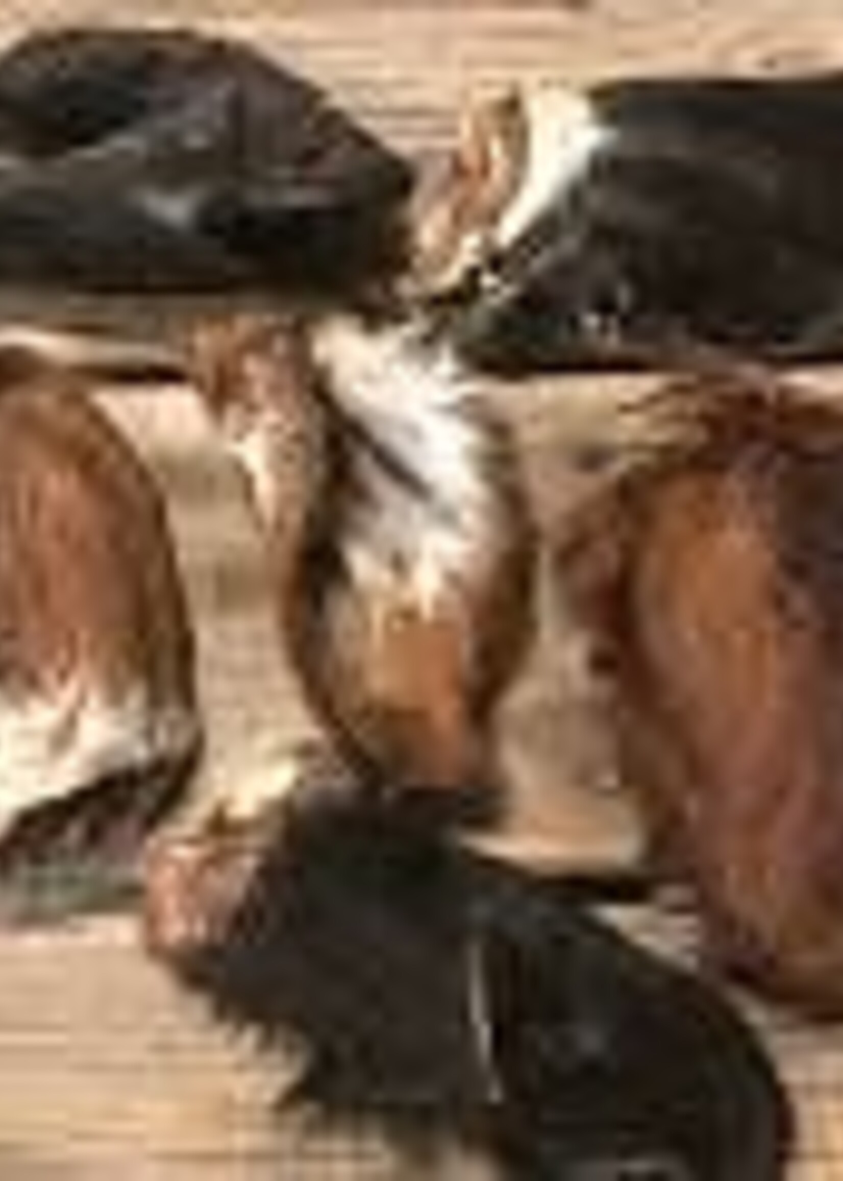 Bullsters BULLSTERS Beef Ear w/ Fur