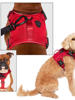 Canada Pooch Core Complete Control Harness Red XXL