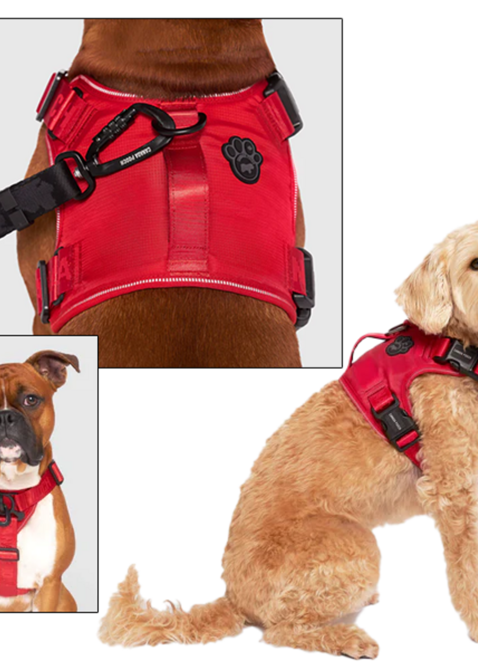 Canada Pooch Core Complete Control Harness Red XXL