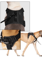 Canada Pooch Core Complete Control Harness Black S