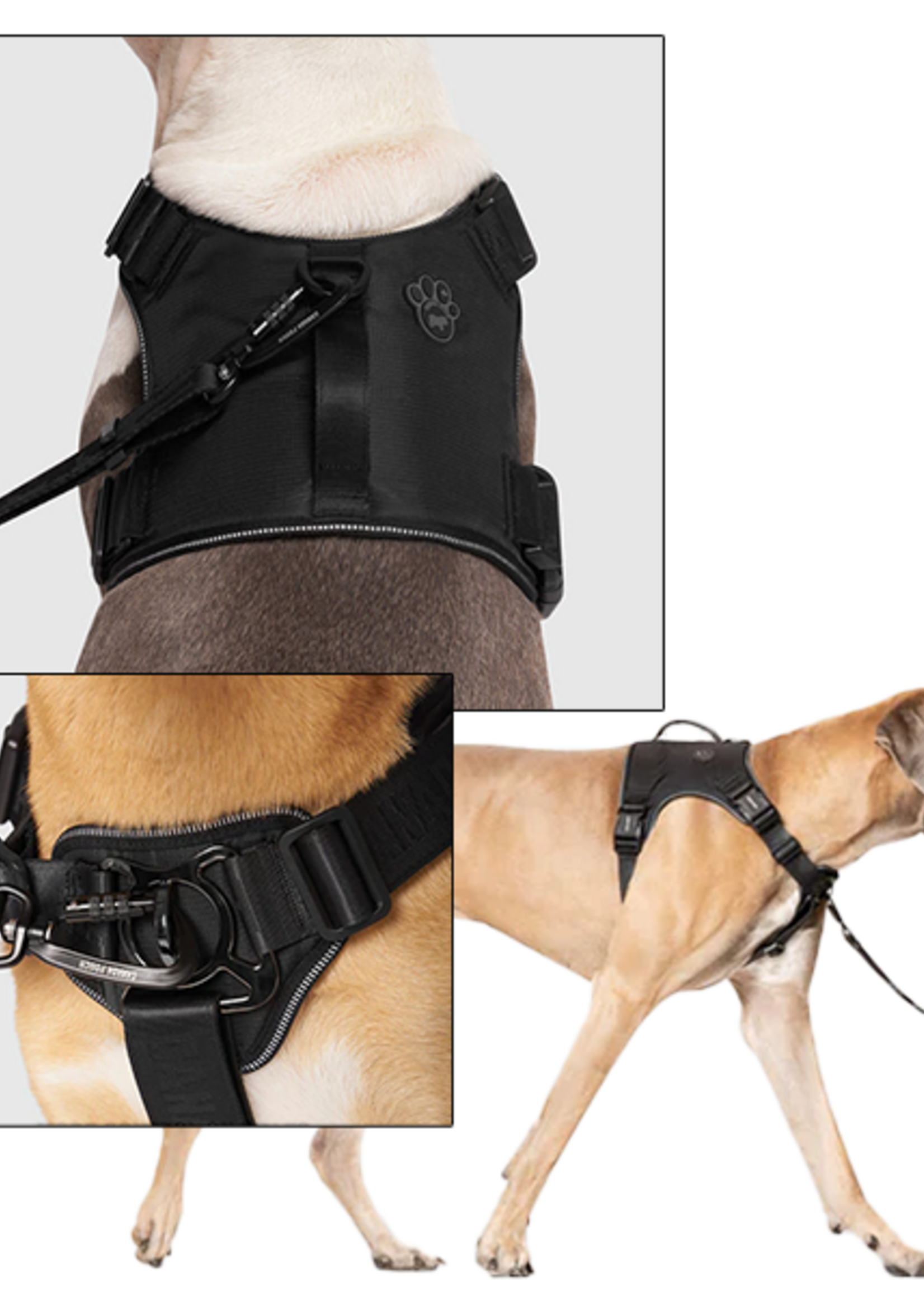 Canada Pooch Core Complete Control Harness Black S