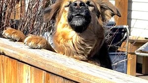 October 2026, What's new at Tracker's Pet Supply