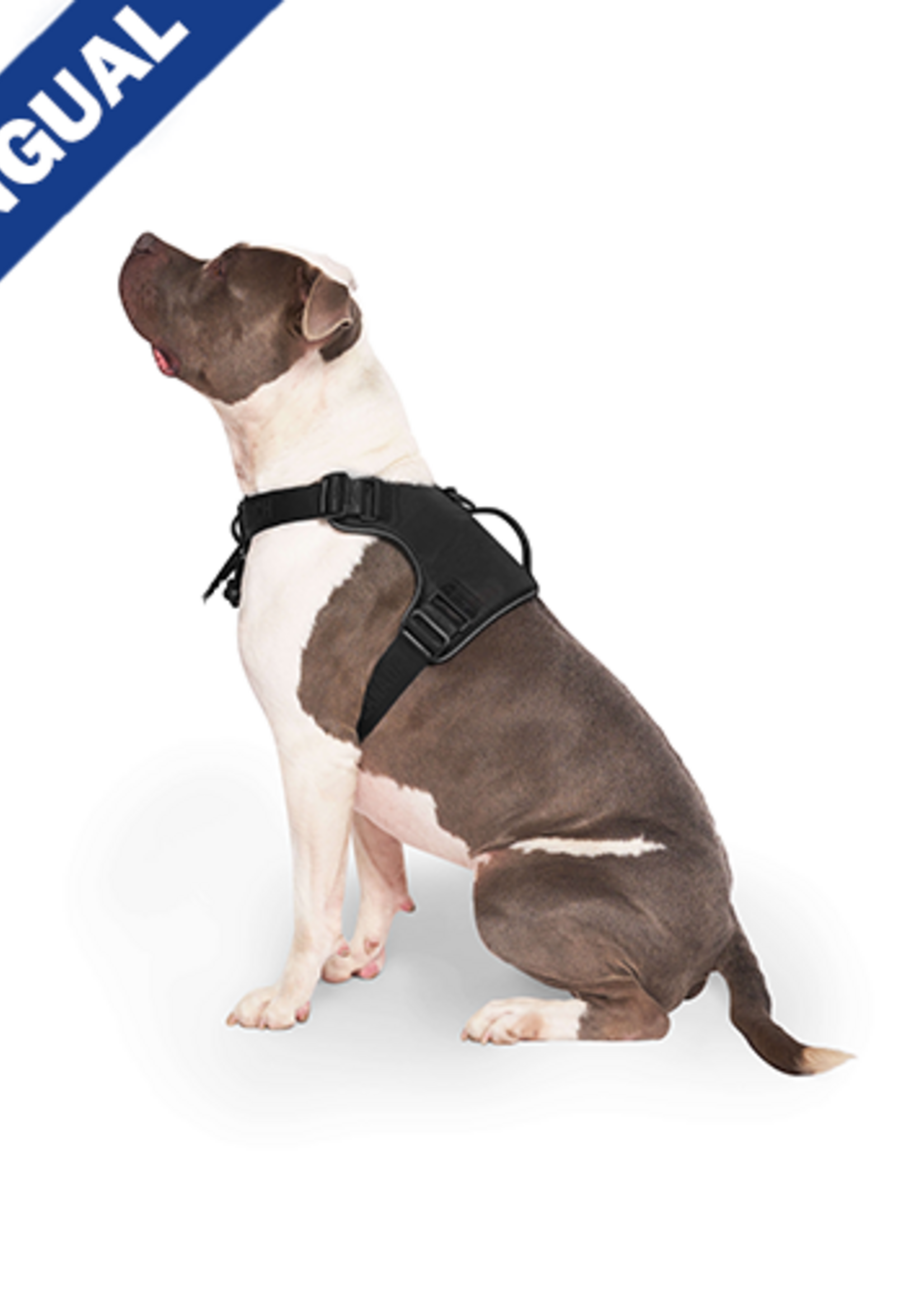 Canada Pooch Complete Control Harness Black  - M