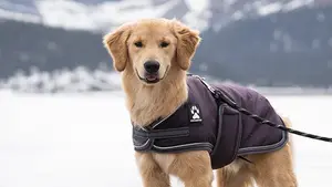 Boots & Coats for Fall & Winter
