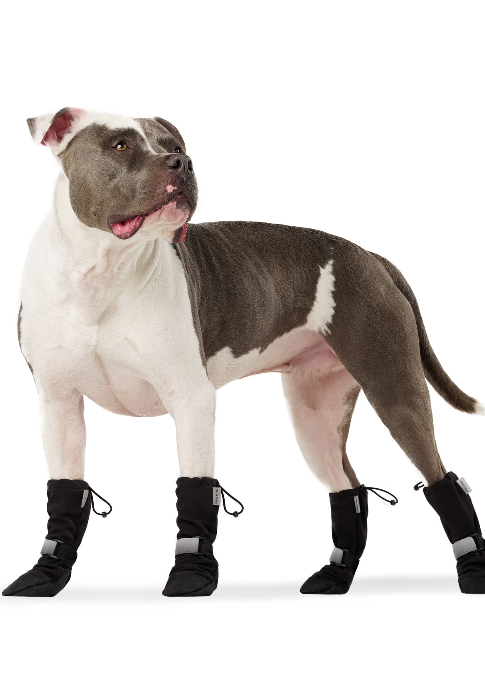 Canada Pooch Soft Shield Boots black Reflective Size 4