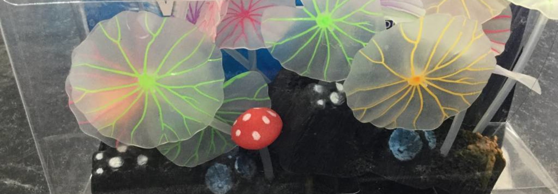Aquatop Silicone Water Lily Lg 2pk