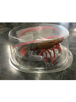 Aquatop Aquatop Spiny Lobster Red 4in Silicone