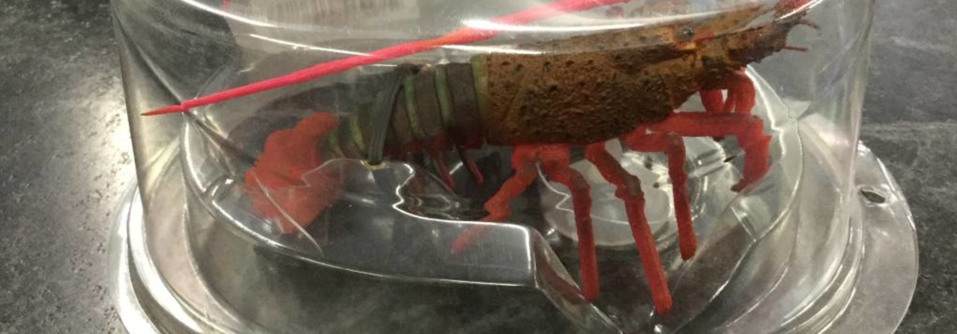 Aquatop Spiny Lobster Red 4in Silicone