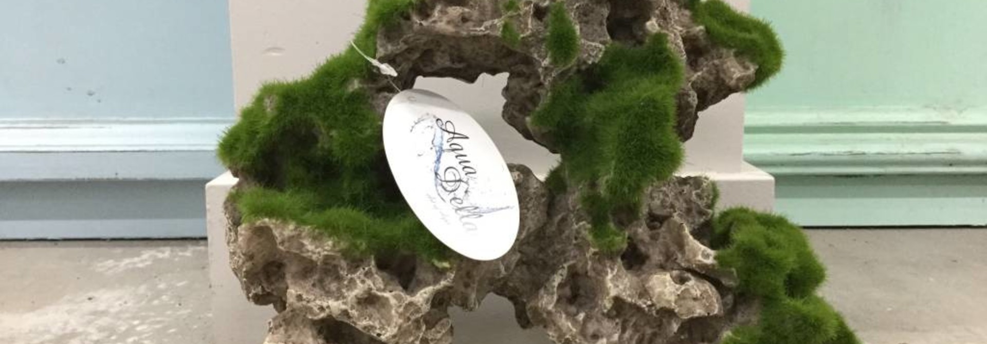 Aqua Della Moss Rock L