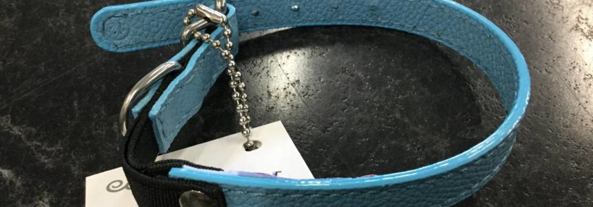 Alpine Cat Collar 12in. Baby Blue
