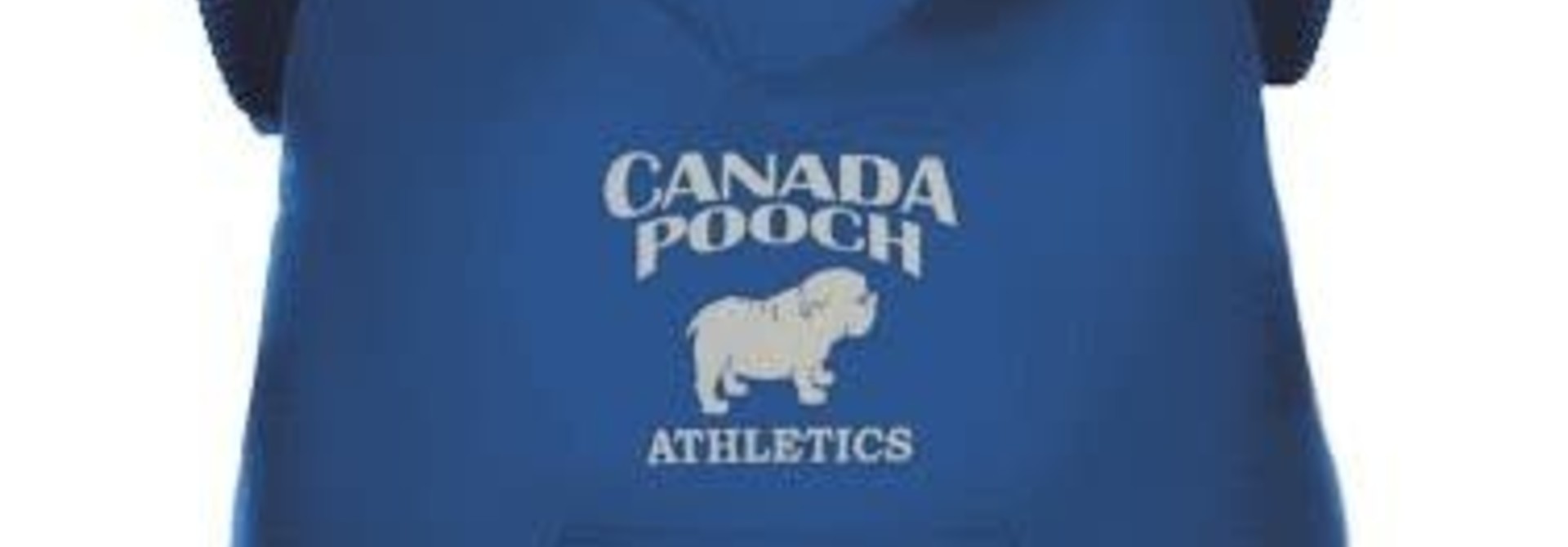 Canada Pooch Blue Sweater 18
