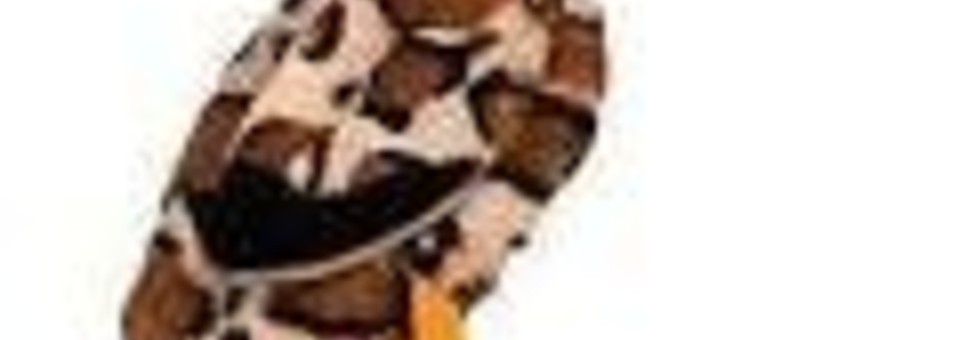 Mini Skinneeez Chicken 13
