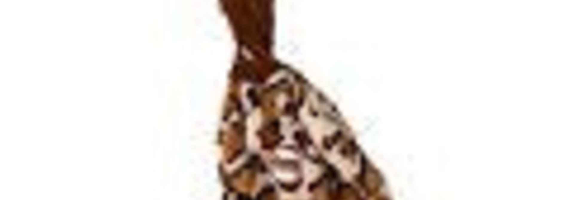 Mini Skinneeez Wild Goose 13