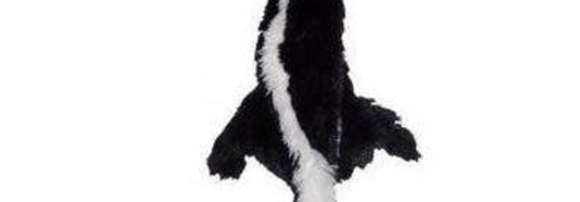 Skinneeez Skunk Small 20