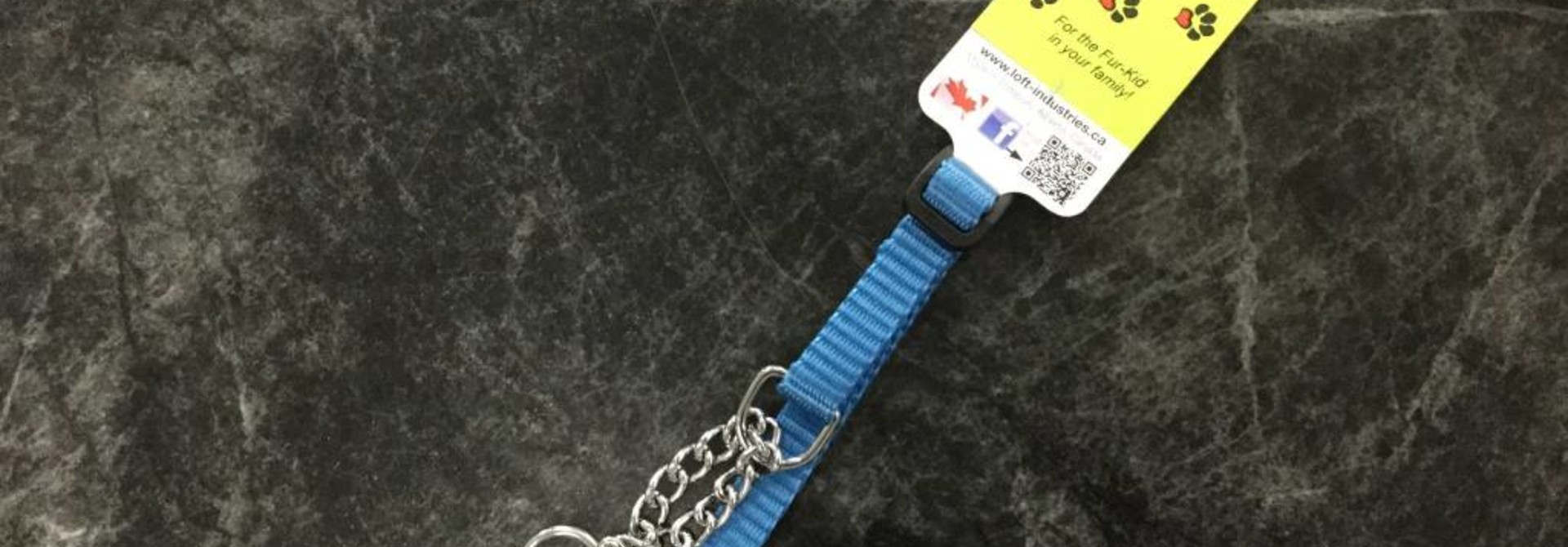 1/2" Wide Martingale Style Nylon Dog Collar with Chain Royal Blue Adjusts to 14”