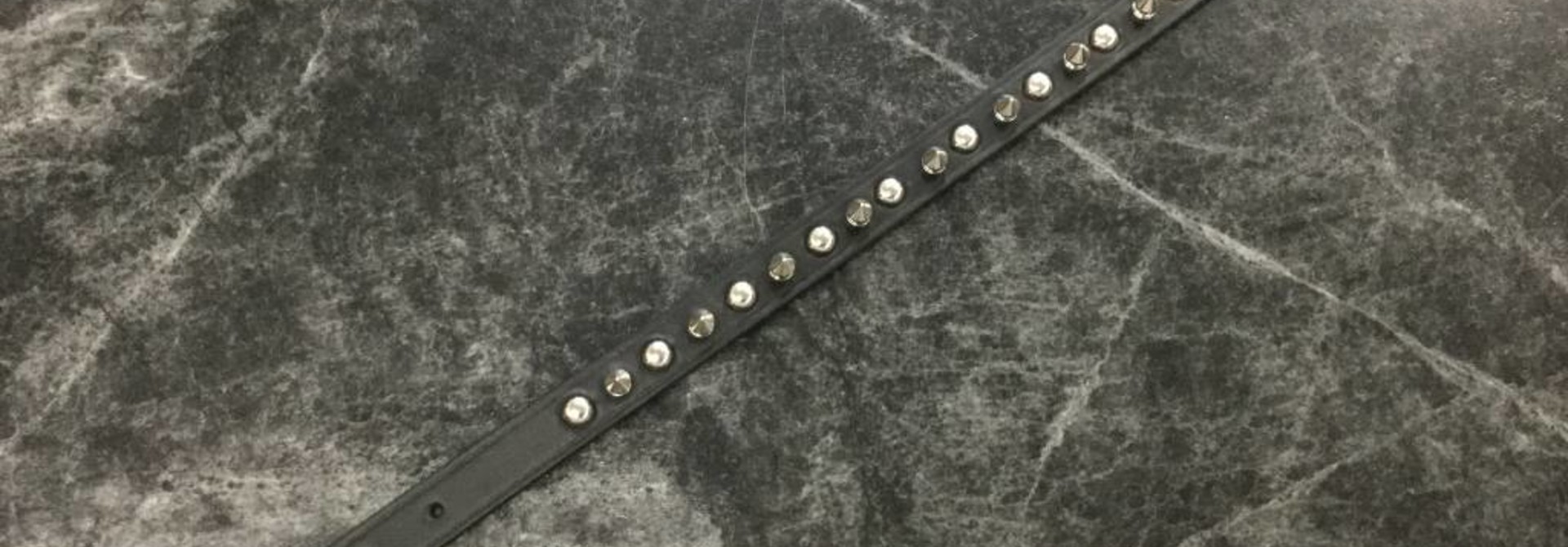 Spike Collar Black 16" x 5/8"