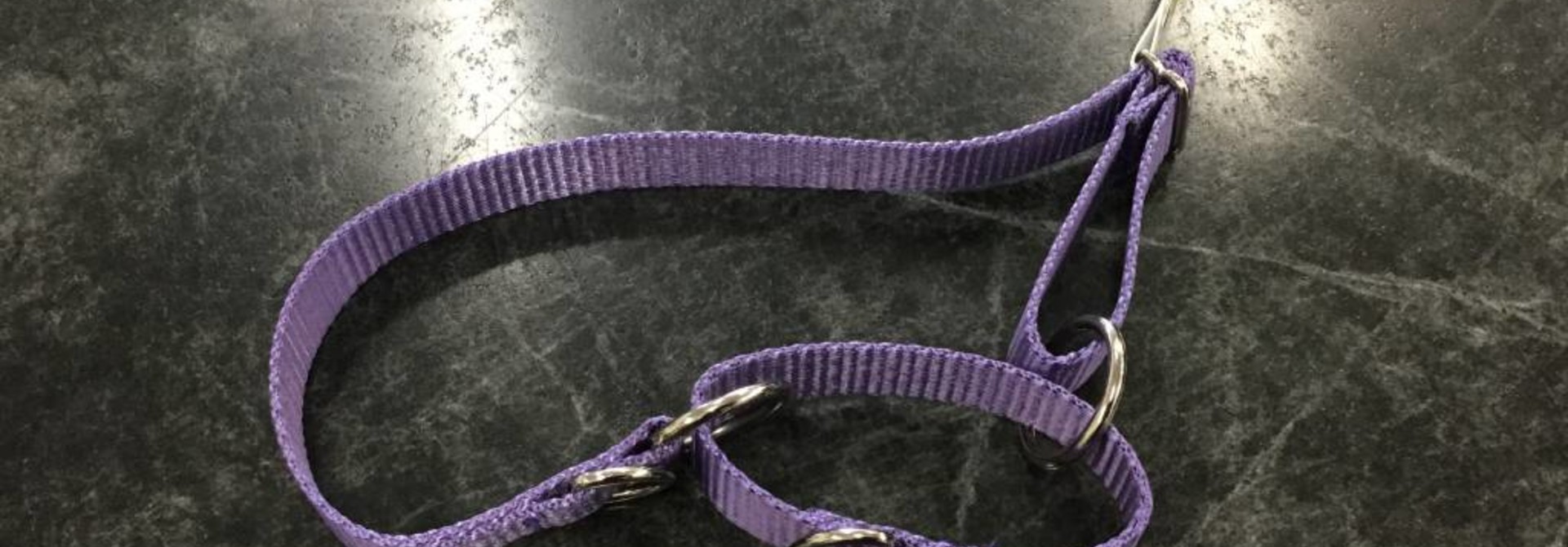 3/4" Wide All-Webbing Martingale Style Nylon Dog Collar Purple Adjusts To 24"