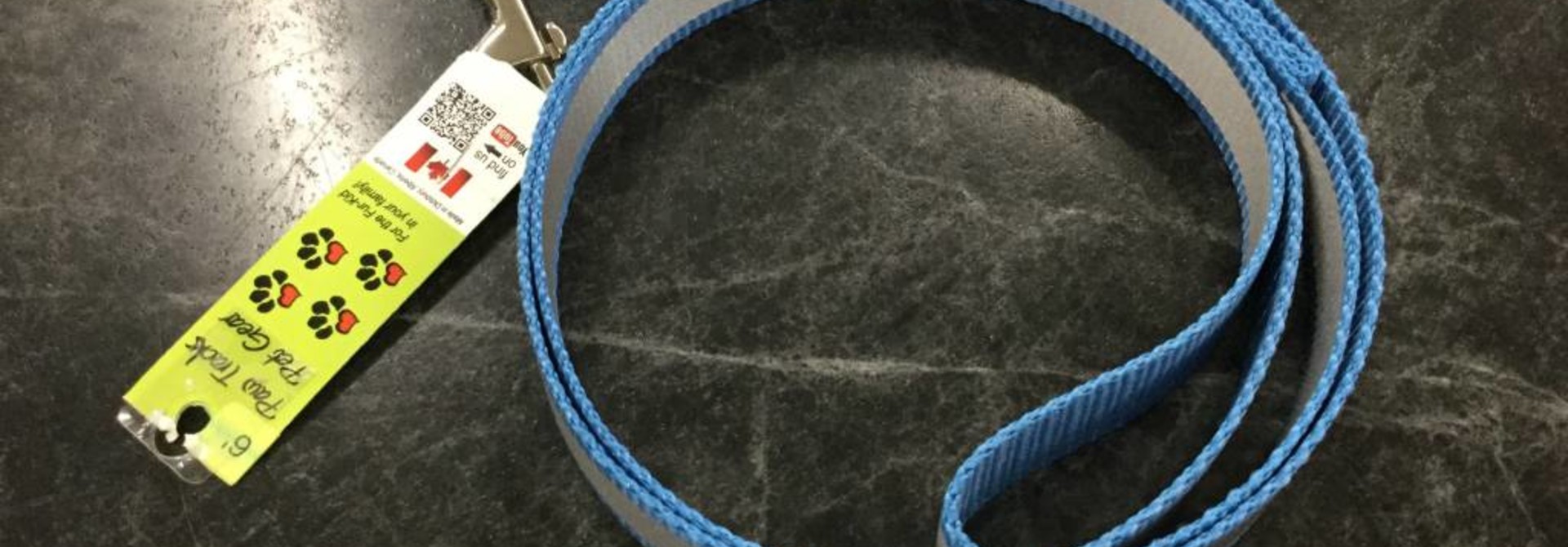 1" Wide x 6 Feet Long Reflective Nylon Dog Leash Royal Blue