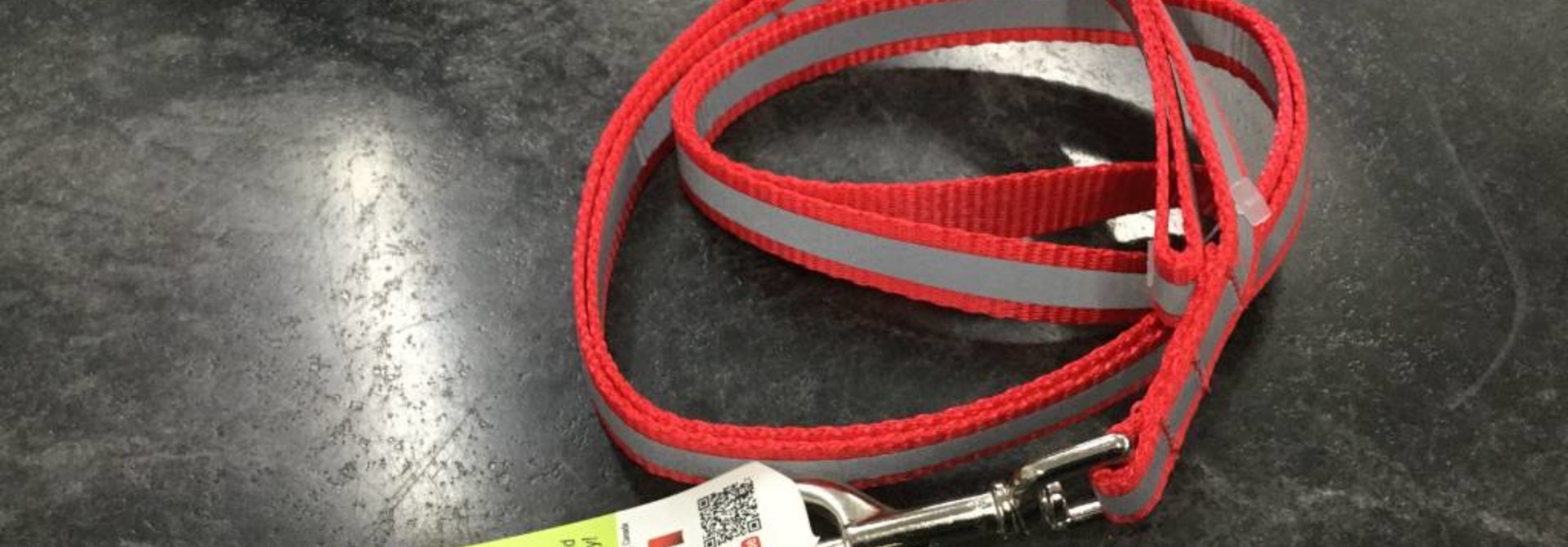 Loft 6' Leash