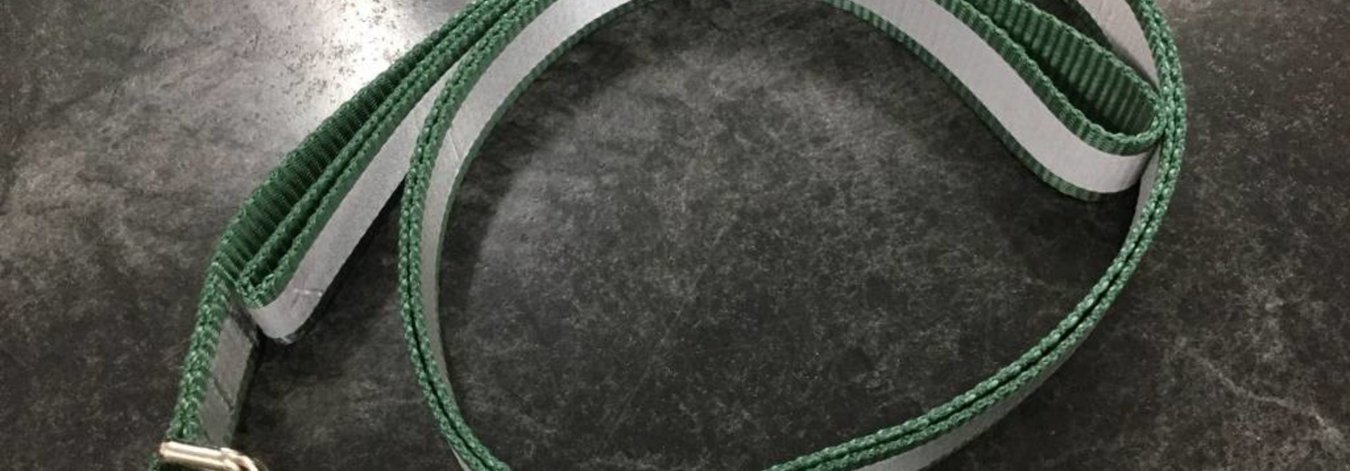 1" Wide x 6 Feet Long Reflective Nylon Dog Leash Green