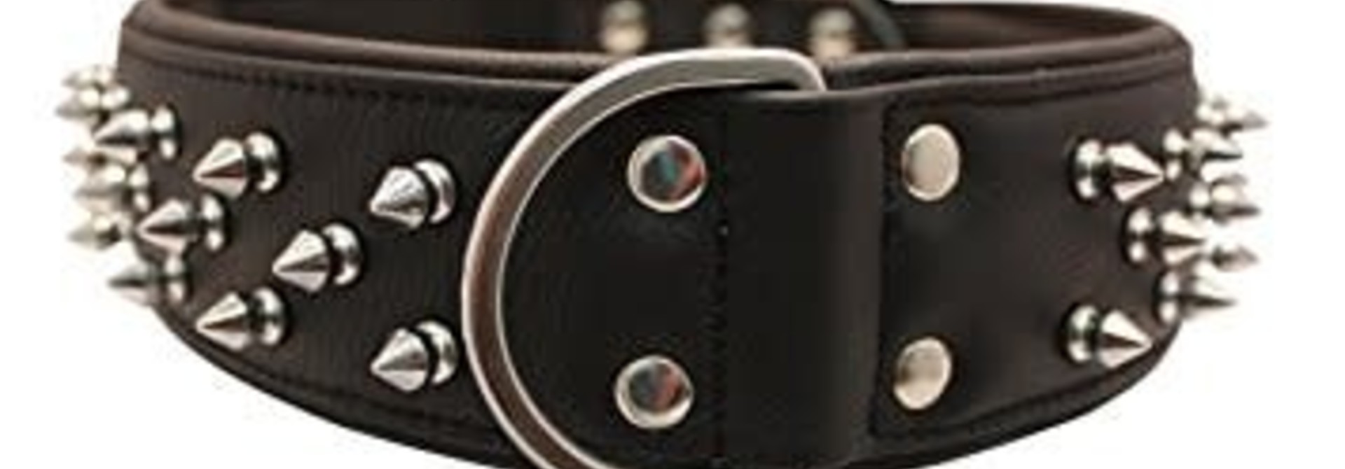 Angel Collar Spiked Black 22" x 1.5"