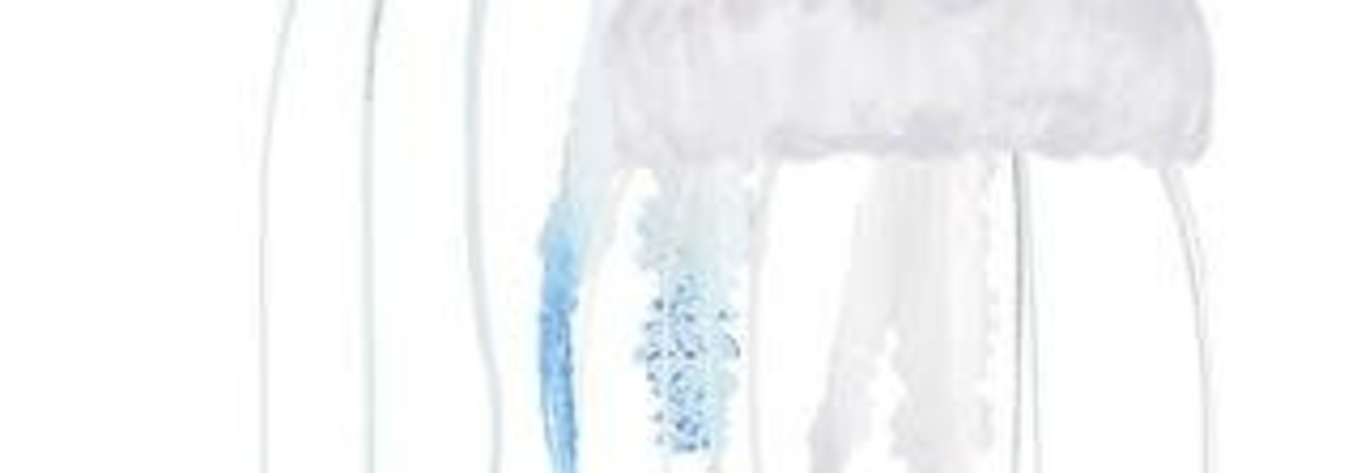 Aquatop Floating Jellyfish 2pk Blue/Clear