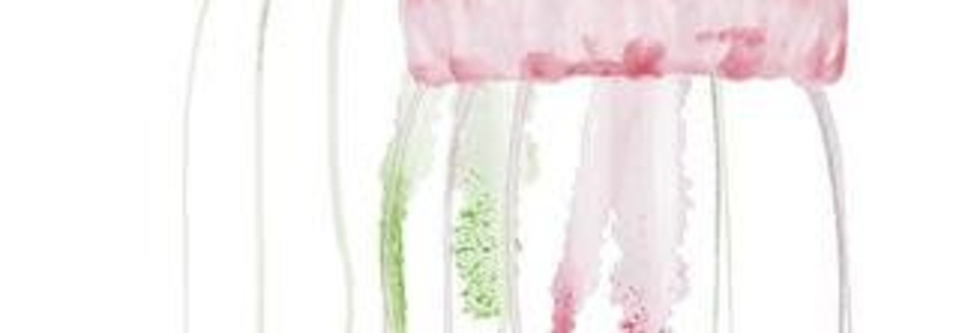 Aquatop Floating Jellyfish 2pk Green/Red