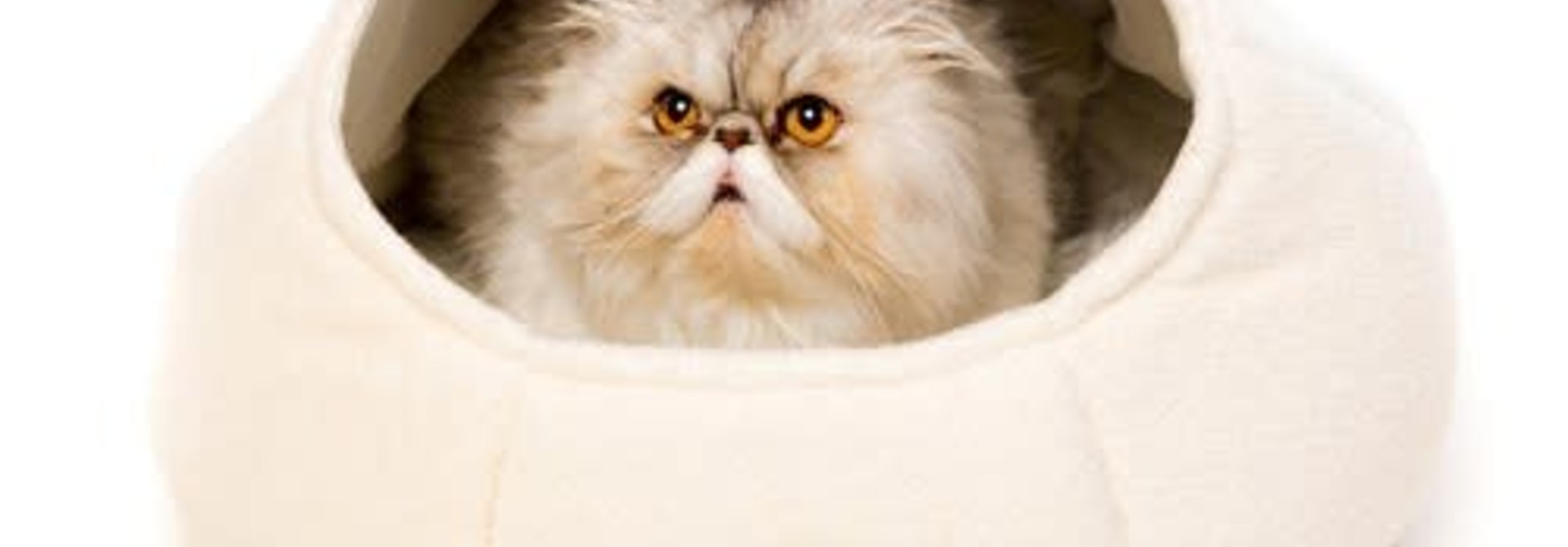 AFP Catzilla Nest Cat Bed White