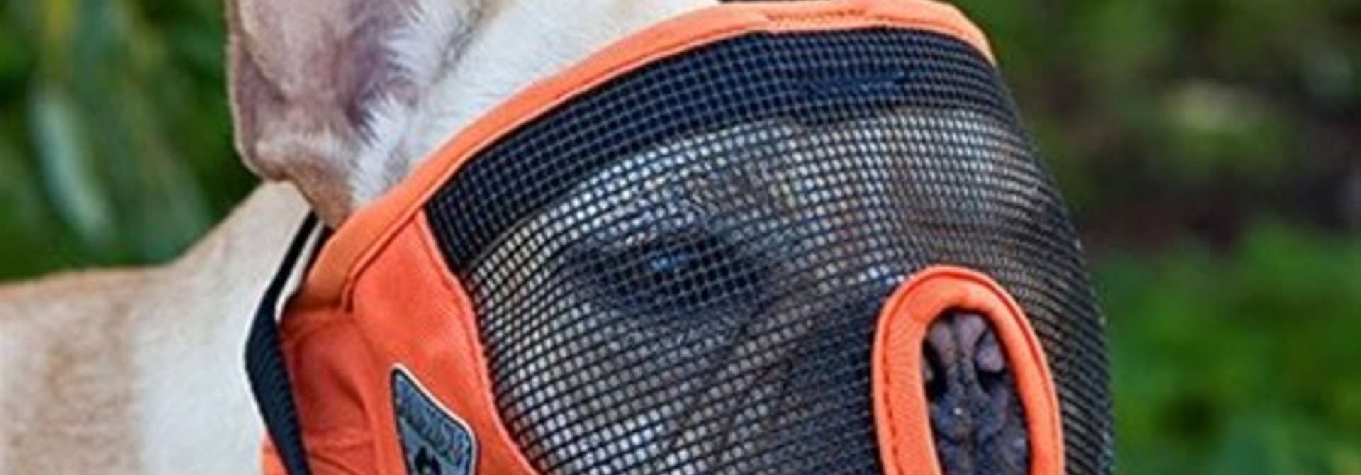 Short Snout Muzzle M Charcoal