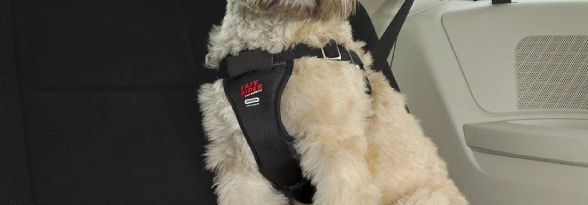 Easy Rider Seat Belt Accessory