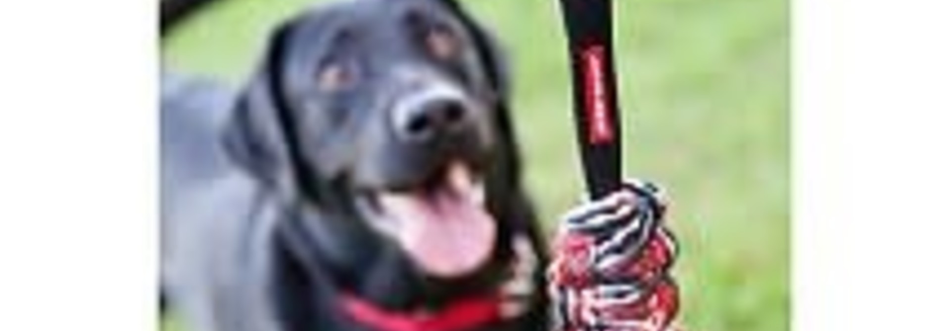 Beaver Tail Dog Toy Large