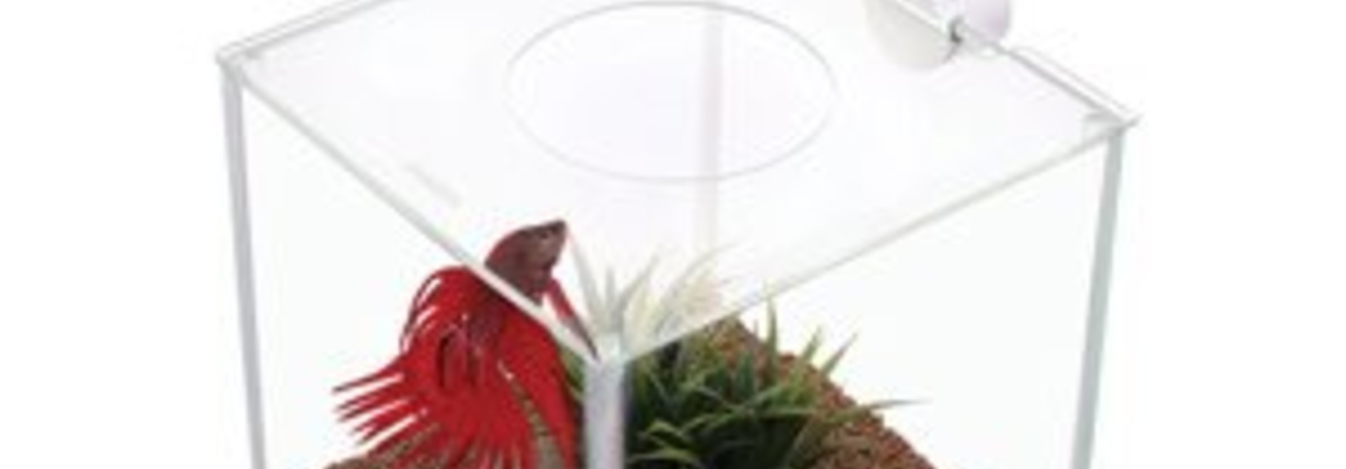 Marina CUBUS Glass Betta Kit