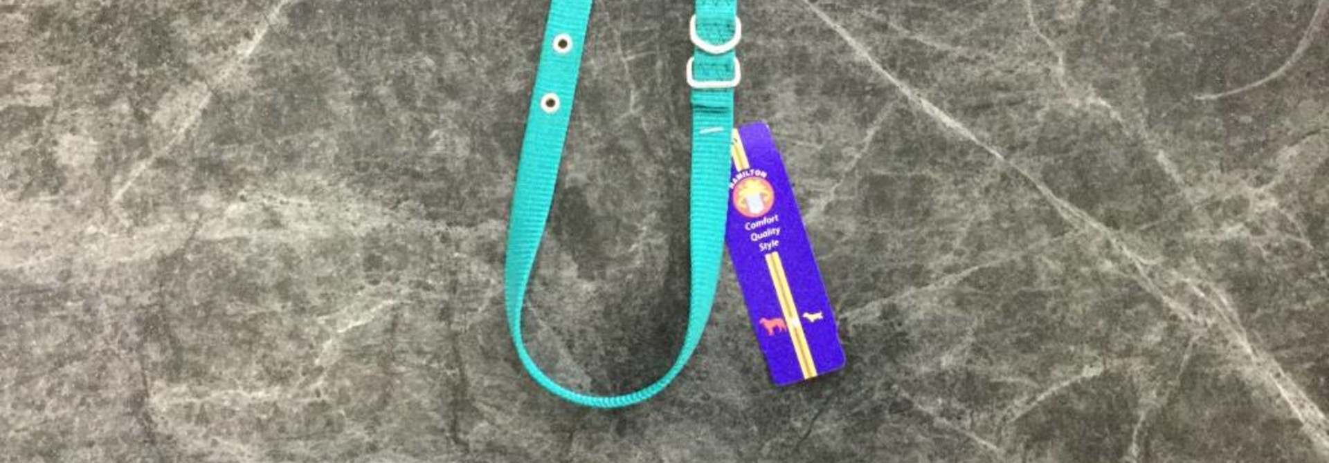 5/8" Nylon Dog Collar Teal