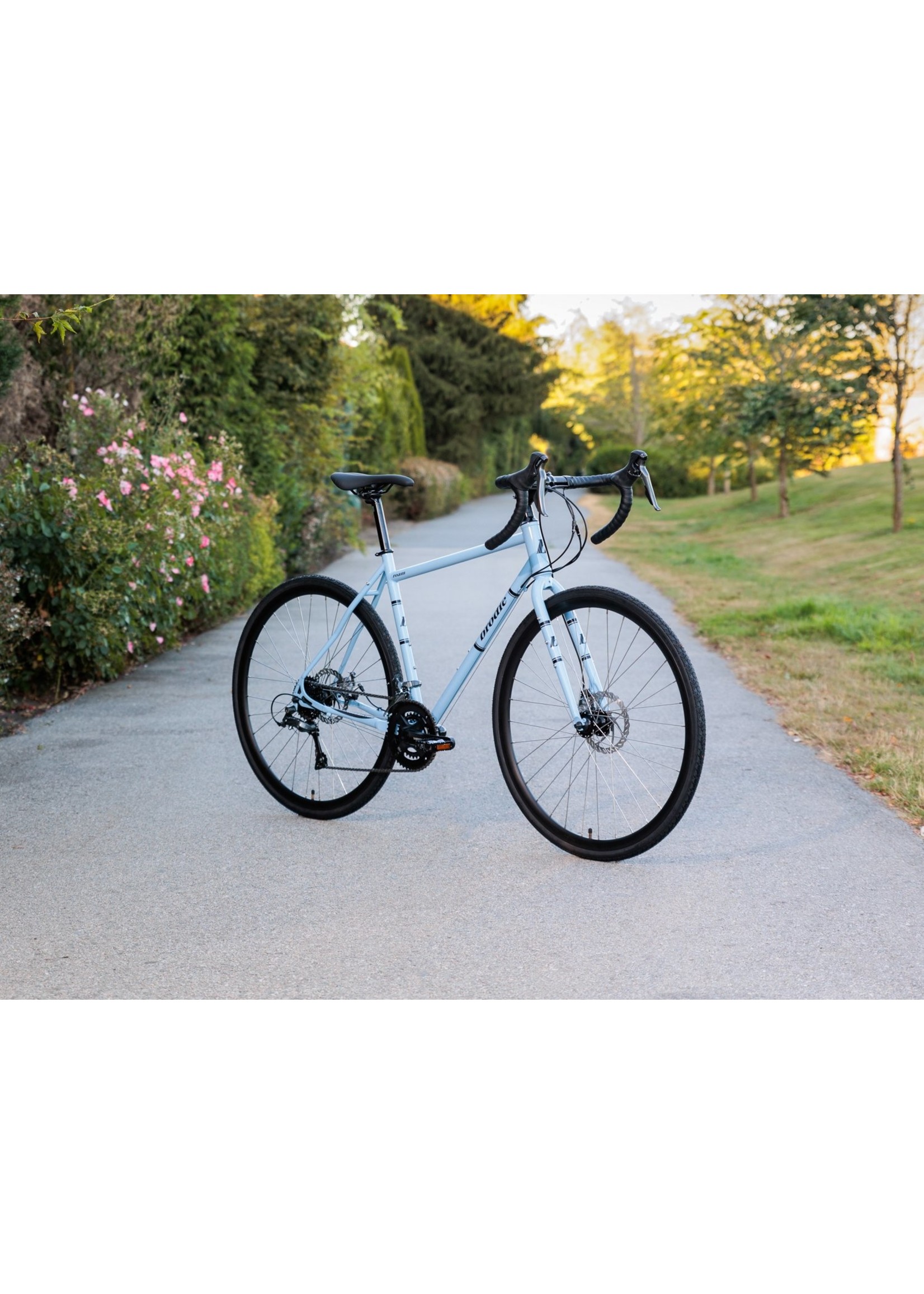 2021 BRODIE ROAM PALE BLUE Ride On Bikes Inc