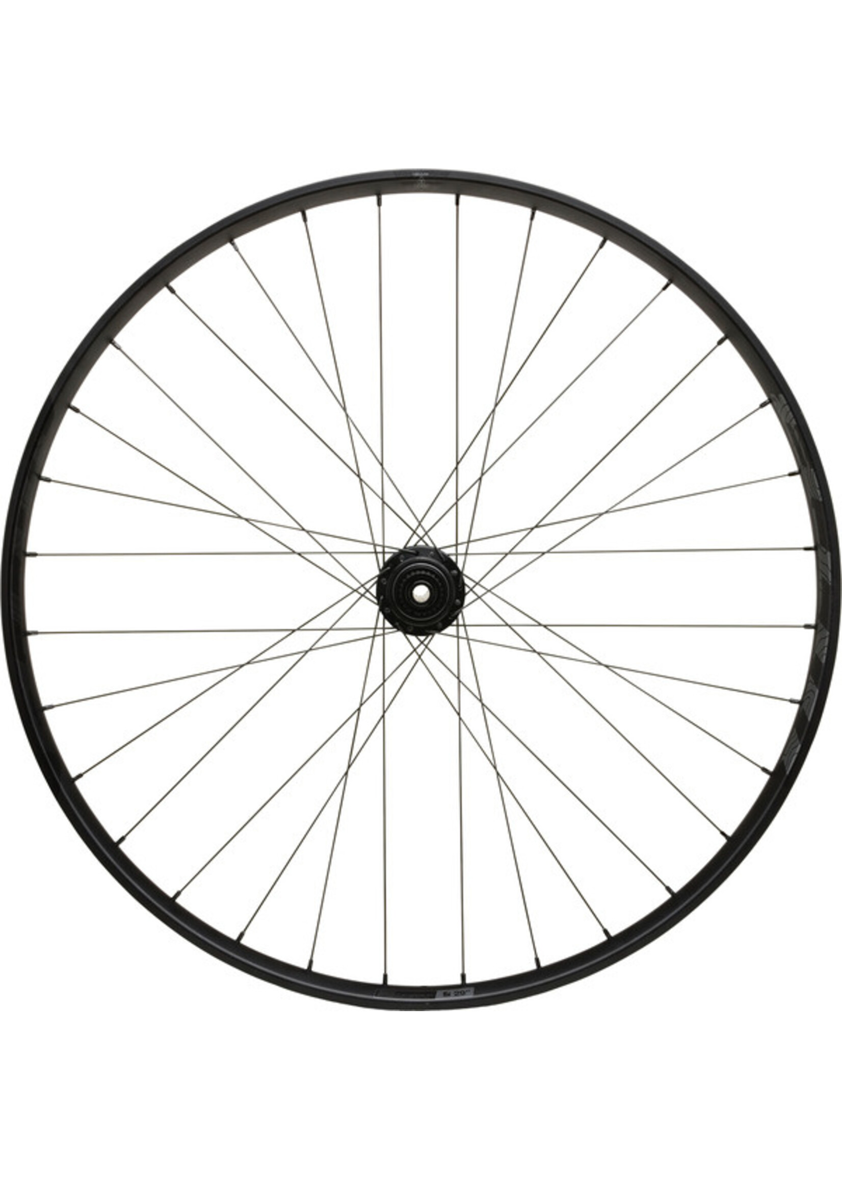 WTB PROTERRA LIGHT i25x650 100x12 6BOLT FRONT