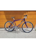 Used Bike Raleigh Sarengeti Purple 18"