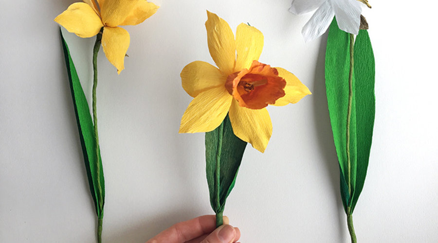DIY: Crepe Paper Flowers