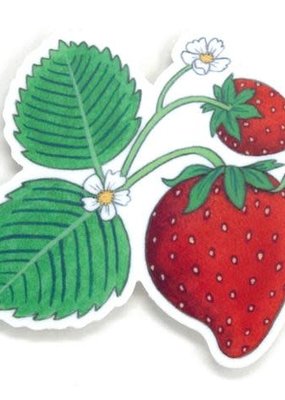 Cactus Club Sticker Wild Strawberry