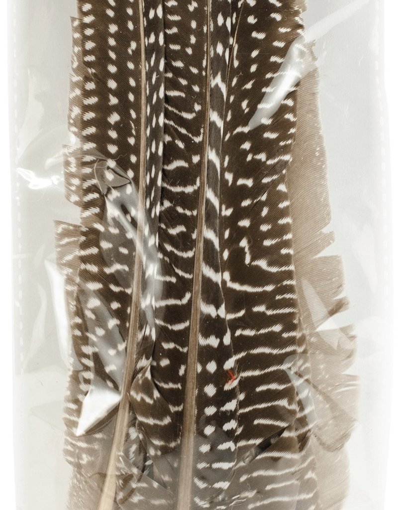 Touch of Nature Feathers Guinea Fowl Quill 7 Inch 10 Piece Pack
