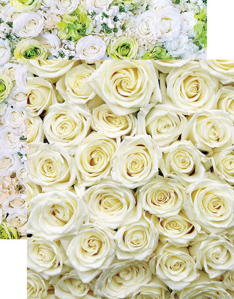 White roses thesis picture
