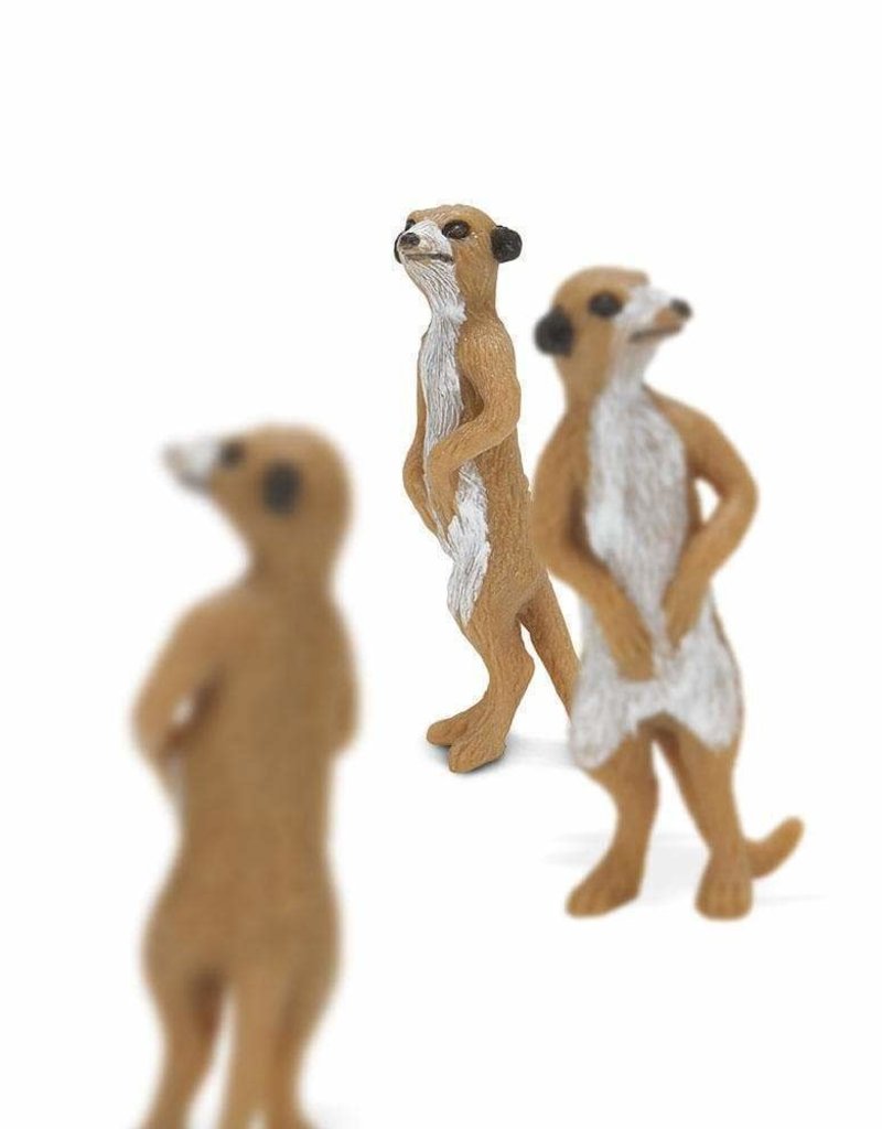 Good Luck Mini Safari Animals | collage - collage Good Luck Mini Safari Animals | collage - collage