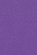 Bazzill Cardstock 8.5 x 11 Grape Delight 25 Pack