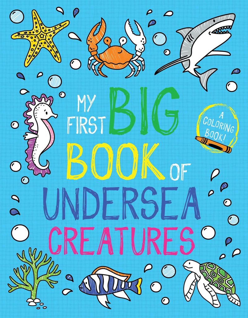 Simon & Schuster My First Big Book of Undersea Creatures