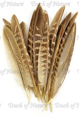 Touch of Nature Feathers Pheasant Wing Quill 7 Inch
