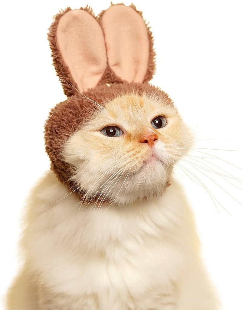 Kitan Club Blind Box Cat Cap Rabbit